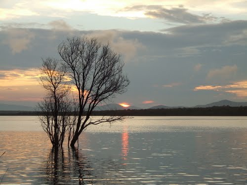 Arabie dam (Flag Boshielo)