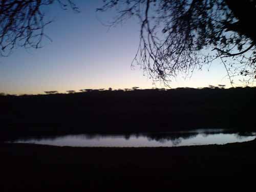 Beja Hengelparadys (Albasini dam)