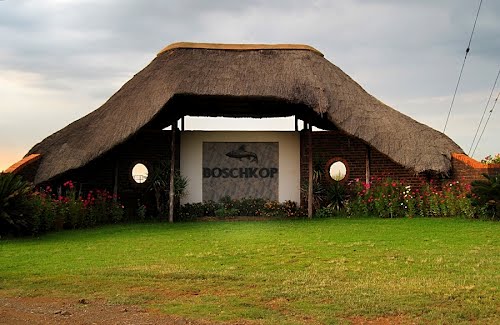 Boschkop oord