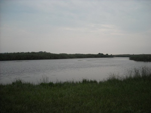 Boskop Dam Nature Reserve (Bonkolo Dam)