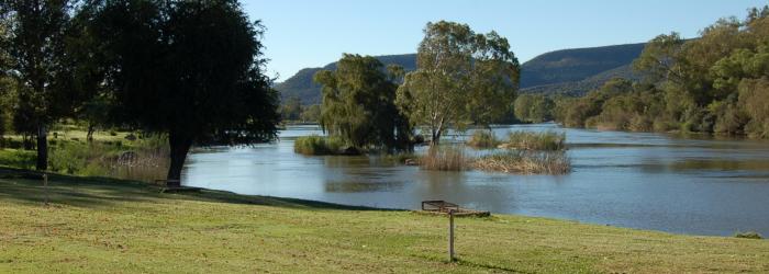 Dimalachite river Lodge