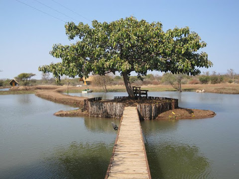 DissiPlek Fishing Resort