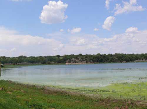 Hengelaarsvriend (Roodeplaat dam)