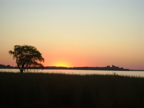 Natuurbewaringoewer (Koppies Dam)