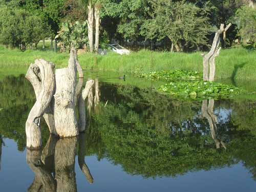 Oppie Koppie bass farm