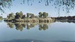 Wag n Bietjie Ecofarm